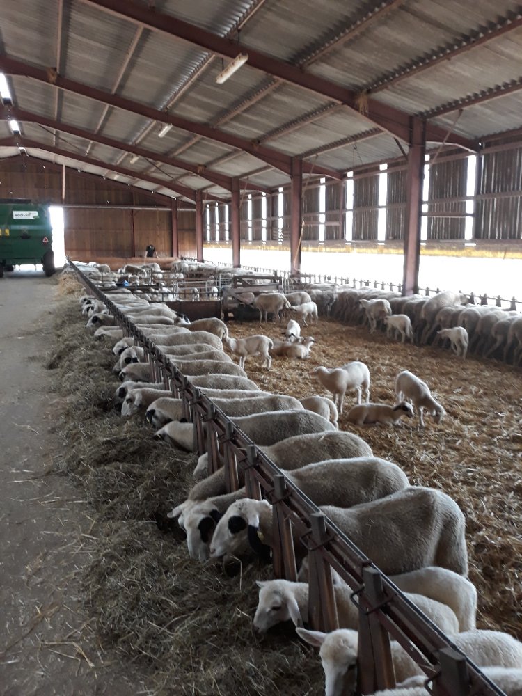 Aire camping-car � Lunegarde (46240) - Photo 2